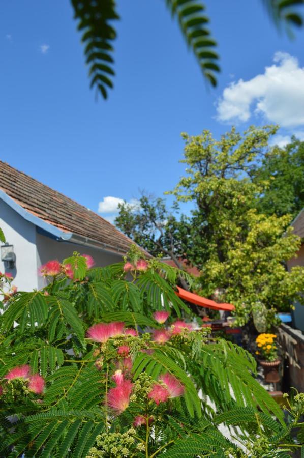 Das Nest Eisenstadt Exterior photo