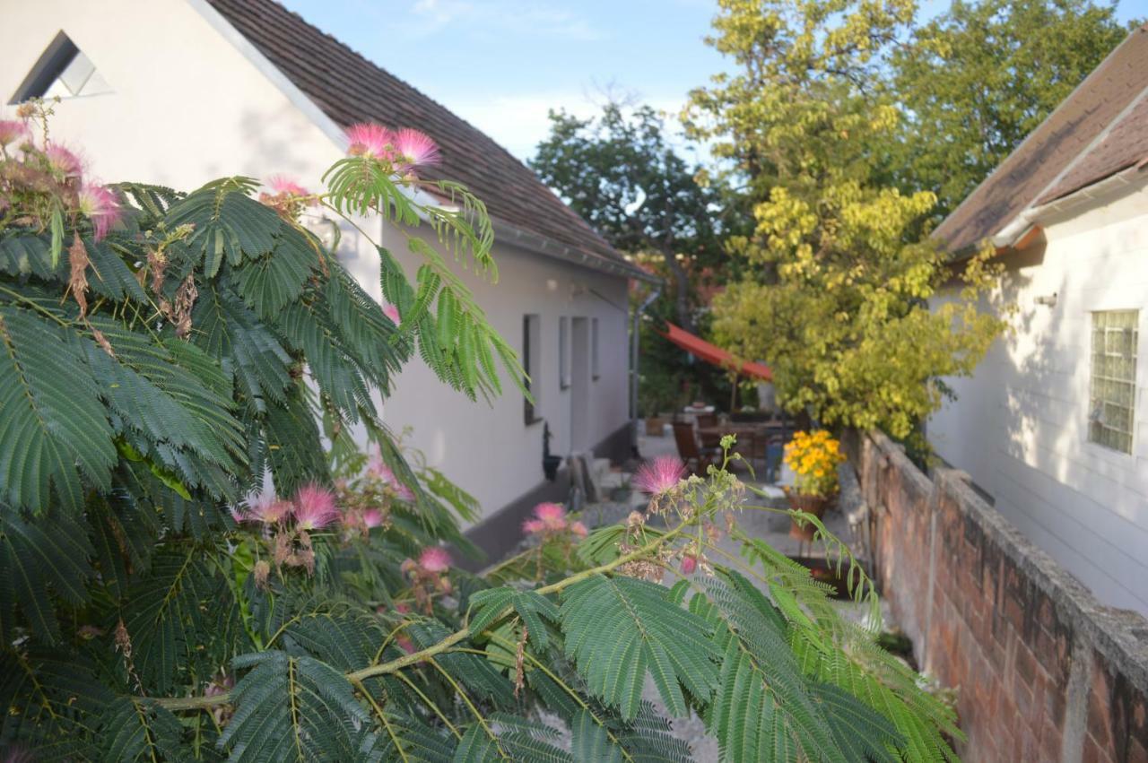 Das Nest Eisenstadt Exterior photo